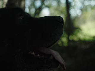 Phù Thủy Hóa Người Full